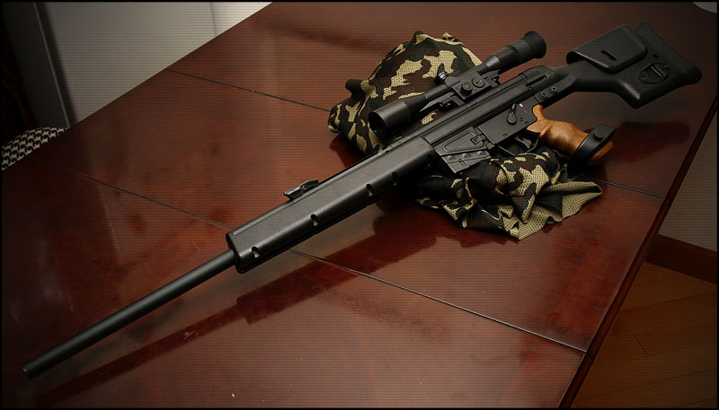 ����������� �������� HK PSG-1