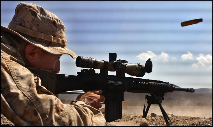 ����������� �������� SR-25 | Mk.11 | XM110