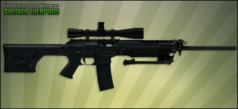 Sig Sauer 556 DMR