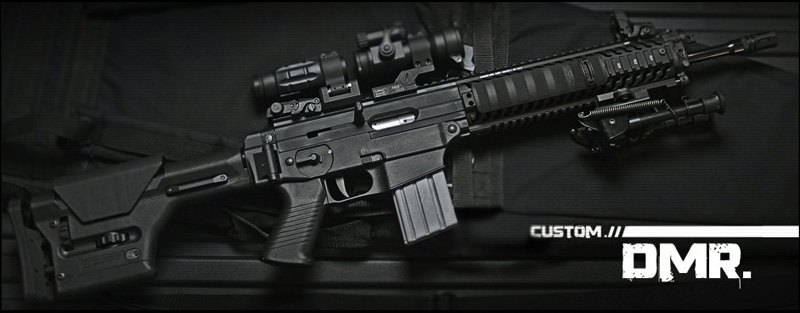 Sig Sauer 556 DMR
