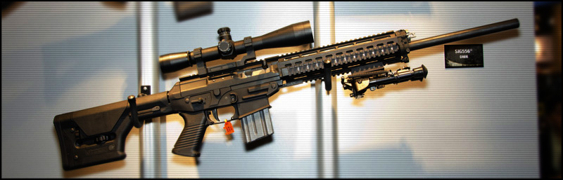 Sig Sauer 556 DMR