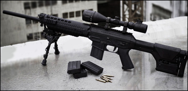 Sig Sauer 556 DMR