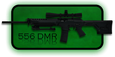 Sig Sauer 556 DMR